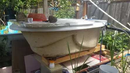May 2019