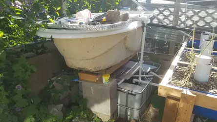 July 2019