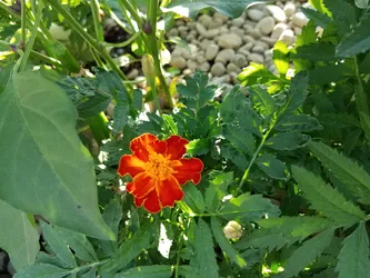 September 2019