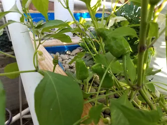 September 2019