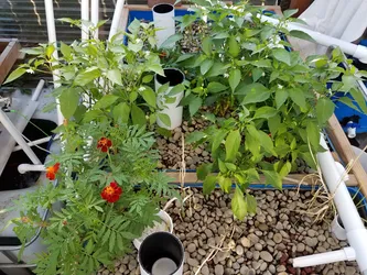 September 2019